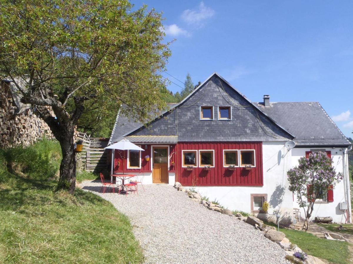 Vila La Petite Finlande Orbey Exteriér fotografie